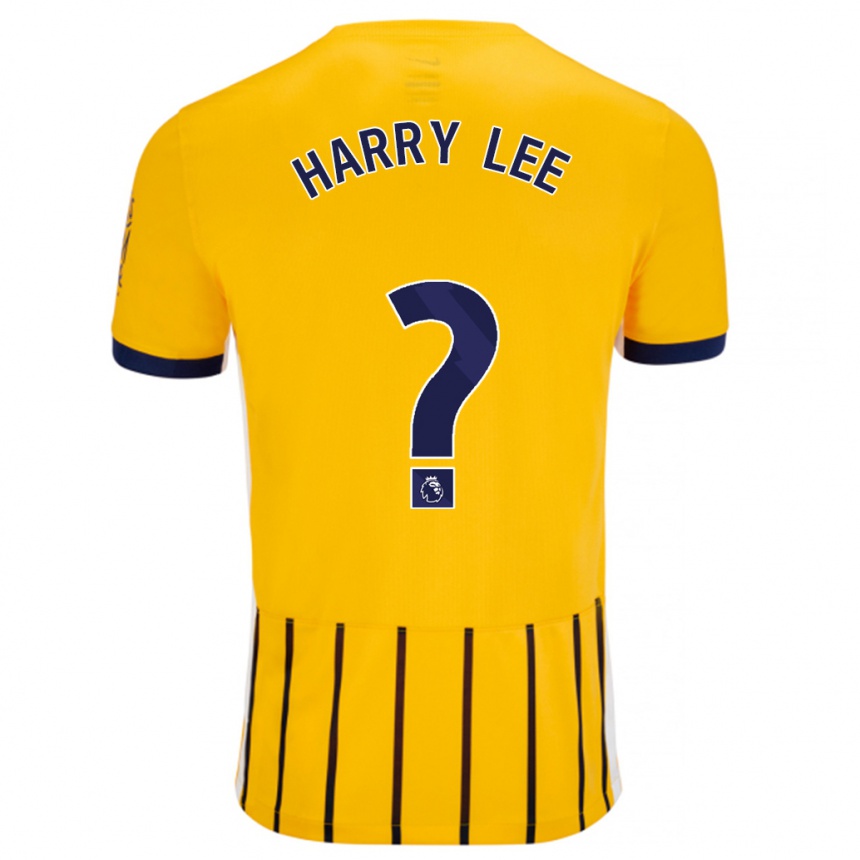 Kids Football Harry Lee #0 Gold Blue Pinstripes Away Jersey 2024/25 T-Shirt Australia